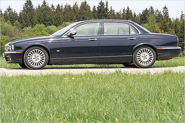 Über fünf Meter lang und nicht zu dick