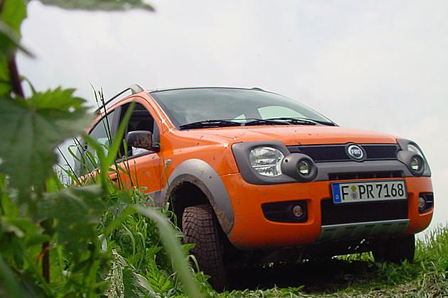 Den kleinen Kletterbär gibt es für recht üppige 16.750 Euro