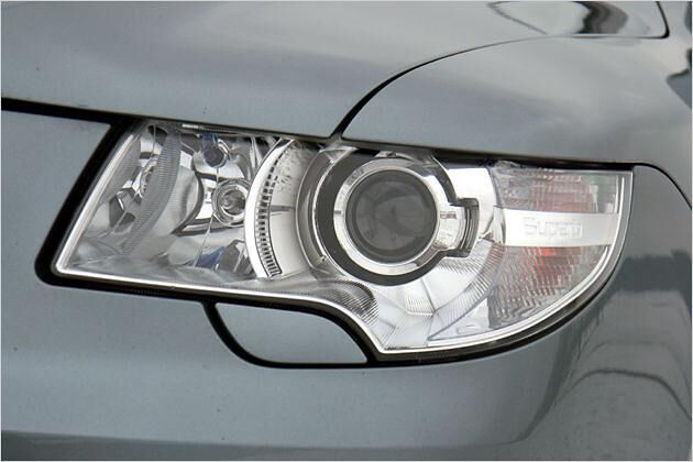 Der Superb guckt klar und leicht böse