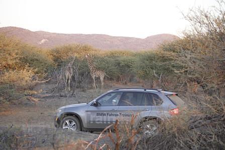Mit dem BMW X5 durch Namibia