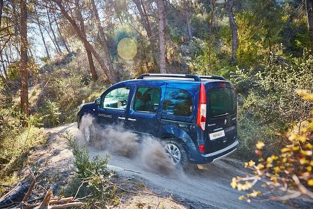 Der Kangoo kann ein treuer Begleiter sein