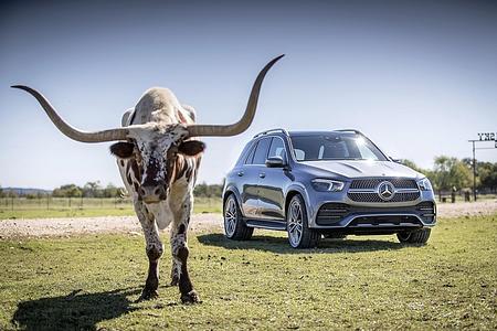Fahrbericht: Mercedes-Benz GLE 450 4MATIC - Komfort-Elektronik