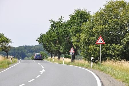 Wildunfälle   - Im Herbst steigt die Gefahr  