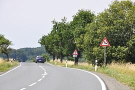 Wildunfälle   - Im Herbst steigt die Gefahr  
