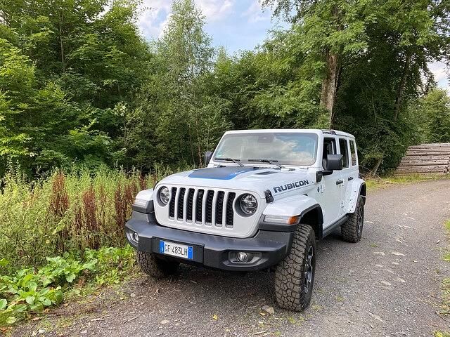 Natürlich entlocken normale bundesdeutsche Waldwege einem Jeep höchsten ein müdes Gähnen, wenn es um das reine Durchkommen geht, selbst wenn sie ziemlich ausgewaschen und voll tiefer Schlaglöcher sind