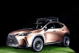 Lexus-Studien auf dem Tokyo Auto Salon - Naturburschen mit Öko-Touch