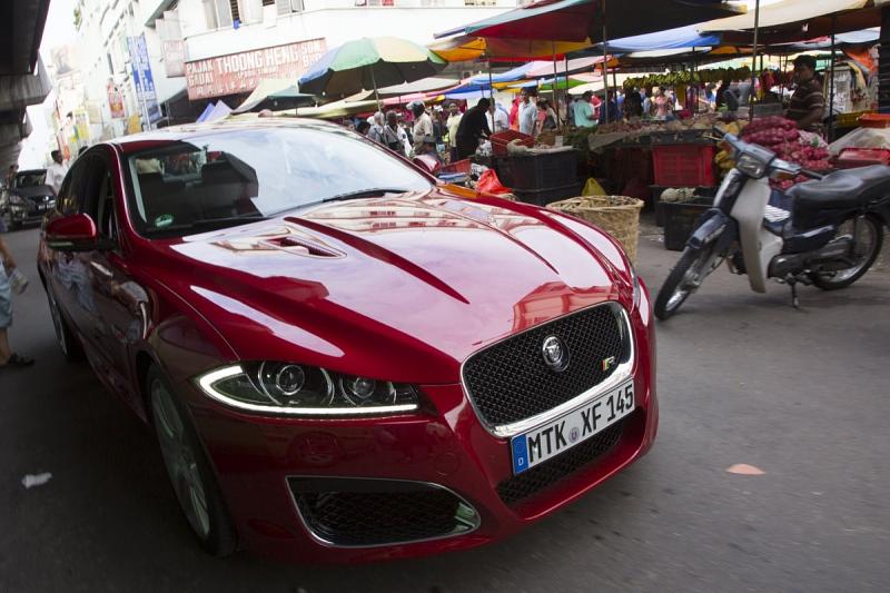 Jaguar Taste and Race