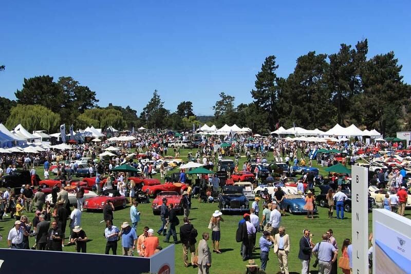 The Quail 2013.
