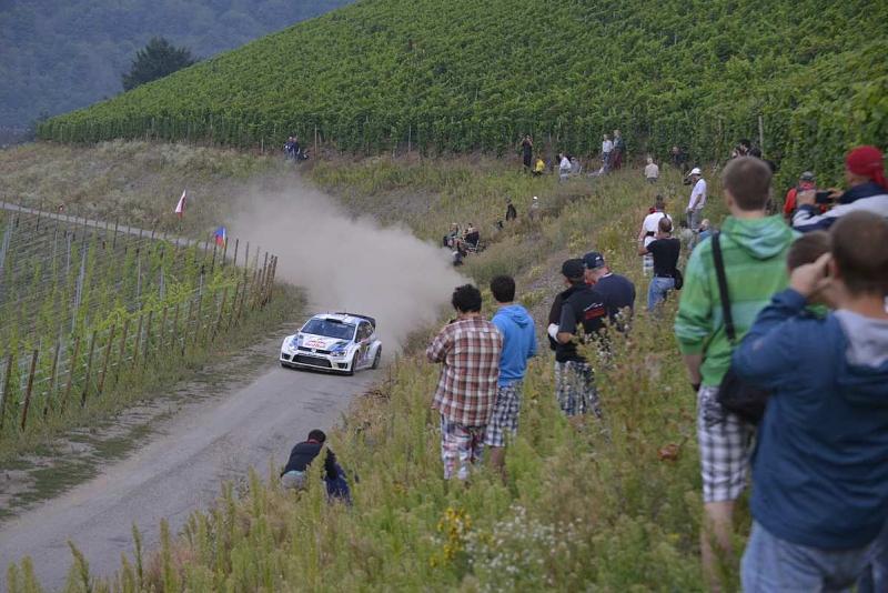 Mitten durch die Weinberge.