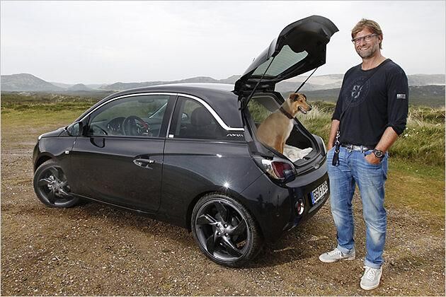 Klopps Mischlingshündin Emma fühlte sich im Kofferraum des Adam offensichtlich ebenfalls wohl