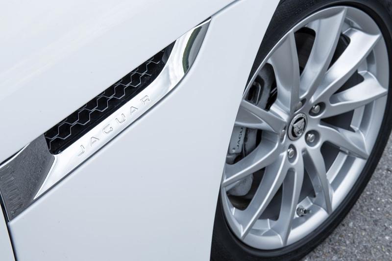 Jaguar wohin das Auge schaut