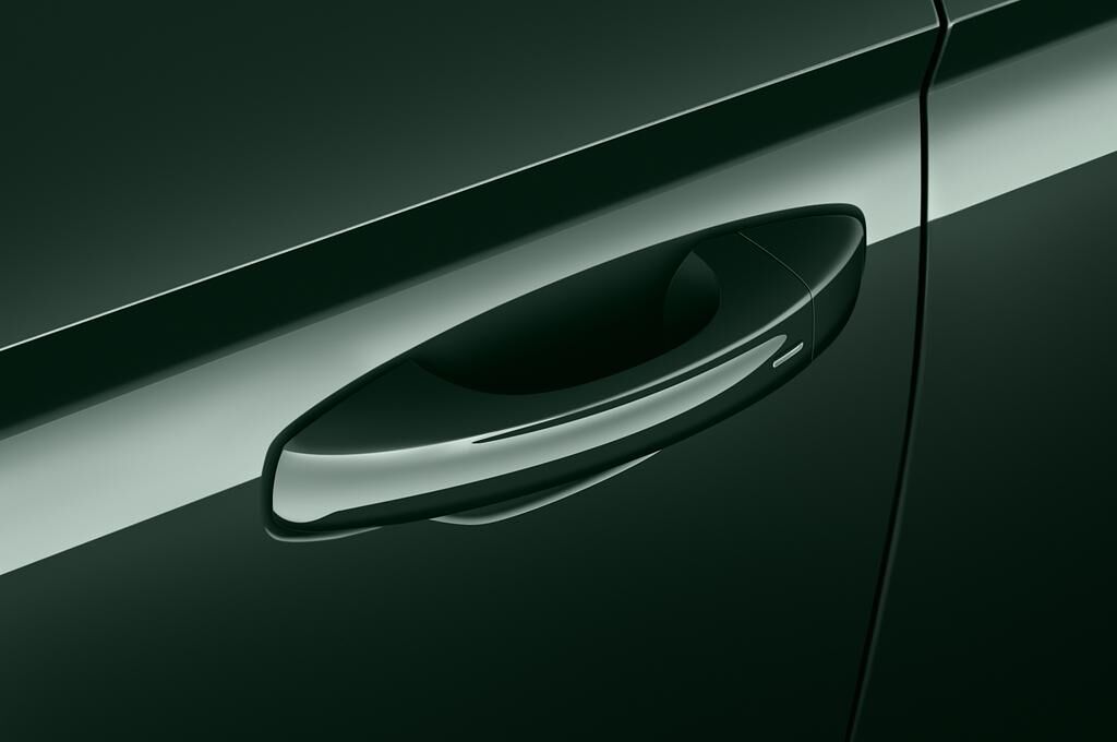 Skoda Karoq (Baujahr 2018) Ambition 5 Türen Türgriff