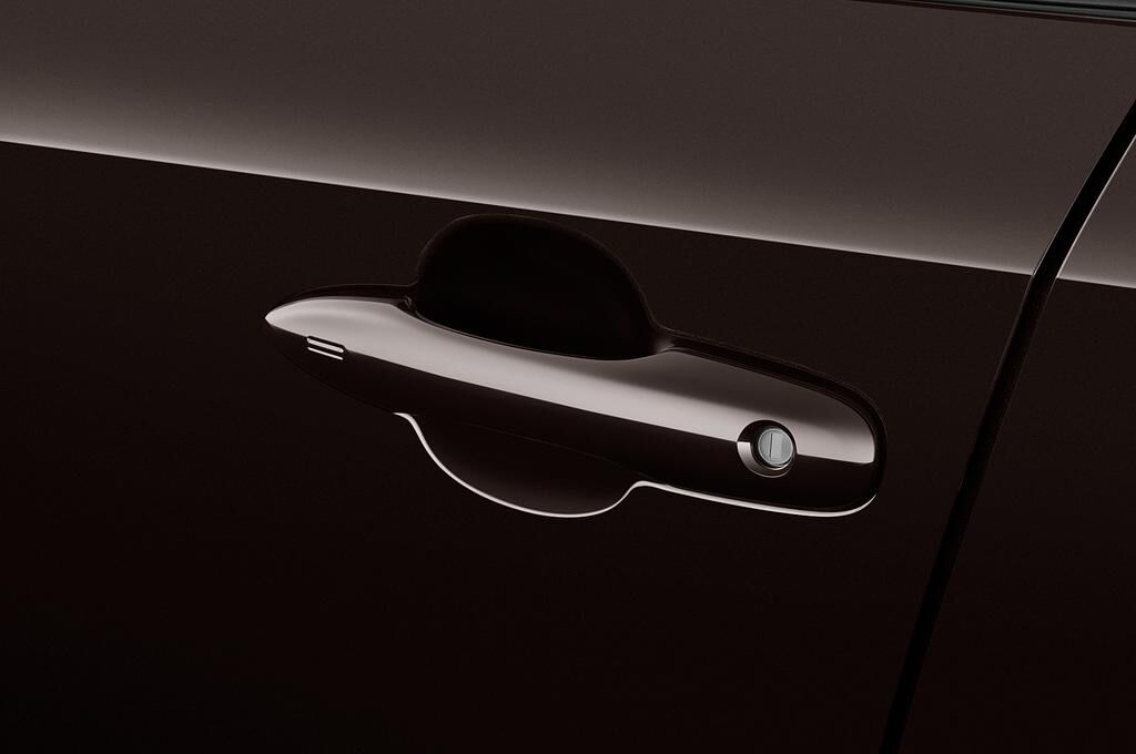 Toyota Corolla (Baujahr 2019) Hybrid Lounge 5 Türen Türgriff