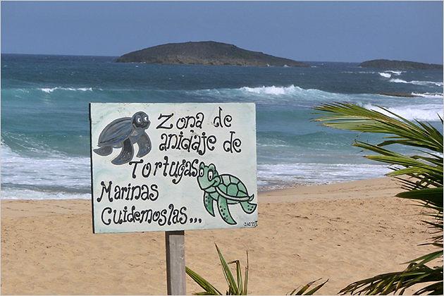 Achtung, Schildkrötennester. Gott sei Dank nicht auf dem Asphalt, sondern am Strand