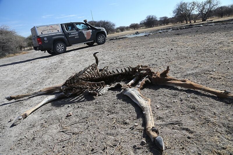 Quer durch die Kalahari Wüste - Unterwegs in der Todeszone