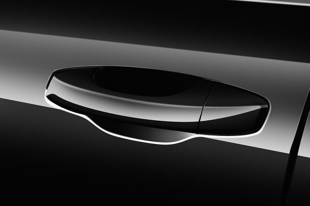 Skoda Scala (Baujahr 2019) Ambition 5 Türen Türgriff