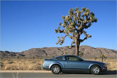 Ein milder Wilder: Ford Mustang V6 Coupé Deluxe im Test Ein milder Wilder: Ford Mustang V6 Coupé Deluxe im Test