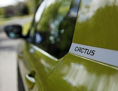 Damit man es nicht vergisst: Das ist ein CACTUS.