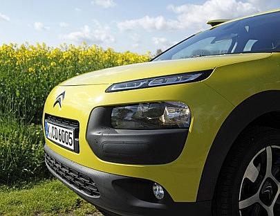 Blickfang: "Hello Yellow" vor einem Rapsfeld.