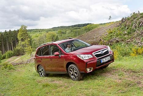 Sichere Sache. Dank dem variablem Allradantrieb gerät der Subaru Forester 2.0 D auch auf feuchten Wiesen nicht ins Schlingern.