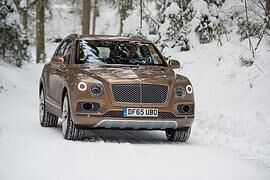Bentley Bentayga W12 - König der Löwen