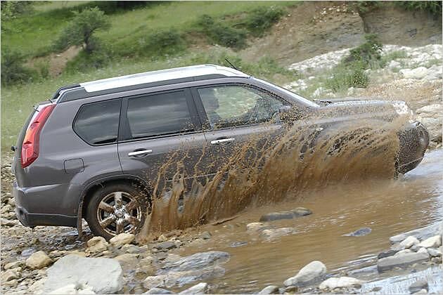 Über Stock und Stein und durchs Wasser