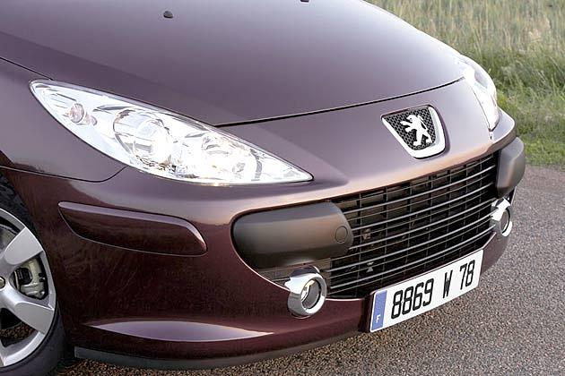 Löwe mit Haifischmaul: Der neue Grill des 307