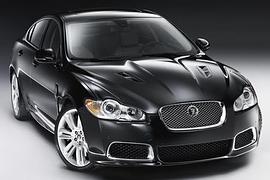 Neuvorstellung: Jaguar XK R - Katzen-Impfung