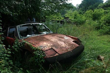 Reportage: Der 914er Experte