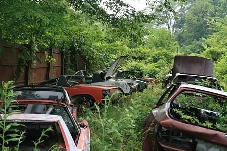 Reportage: Der 914er Experte