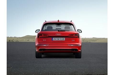 Was wie Auspuffrohre aussieht, sind Kappen, die mit einer Spange umgeben sind