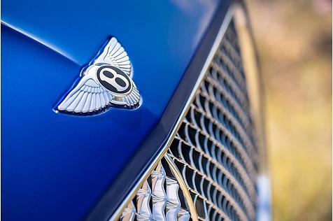 Das Bentley-Markenlogo ziert die Motorhaube