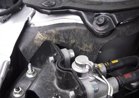 Marderschaden im Motorraum