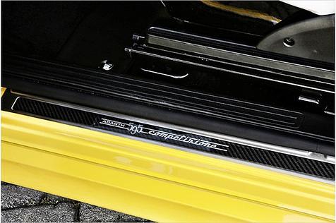 Carbon-Einstiegsleisten. Fast wie bei Porsche