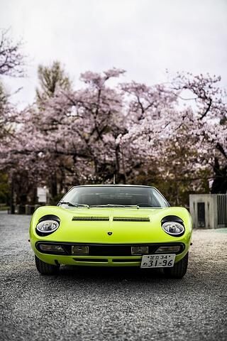 Lamborghini Miura Verde