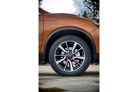 Die 19-Zöller füllen die Radhäuser gut aus