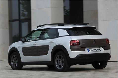 Unlackierter Kunststoff schlängelt sich um die Unterkante des Cactus