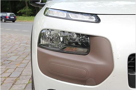 Das Erkennungszeichen des C4 Cactus sind seine "Airbumps"