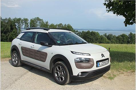 Der C4 Cactus braucht Zeit zur Eingewöhnung, dann vermag das Konzept zu gefallen