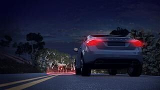 5x: Tipps fürs Autofahren im Herbst - Die Gefahr im Blick