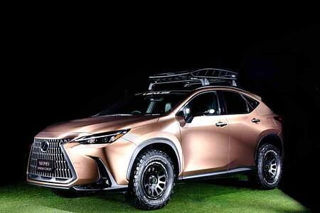 Lexus-Studien auf dem Tokyo Auto Salon - Naturburschen mit Öko-Touch