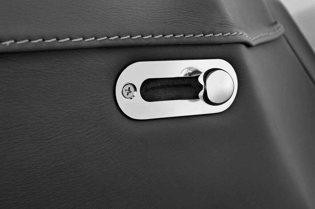 Wiesmann MF 4 (Baujahr 2009) - 2 Türen Bedienungselemente Tür