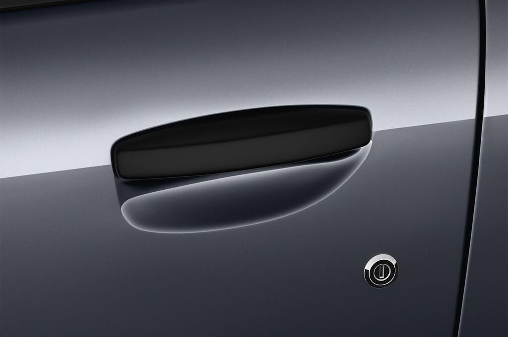 Dacia Lodgy (Baujahr 2018) Stepway 5 Türen Türgriff