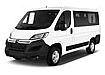 Citroen Jumper Transporter (seit 2006) 2.0i (110 PS)
