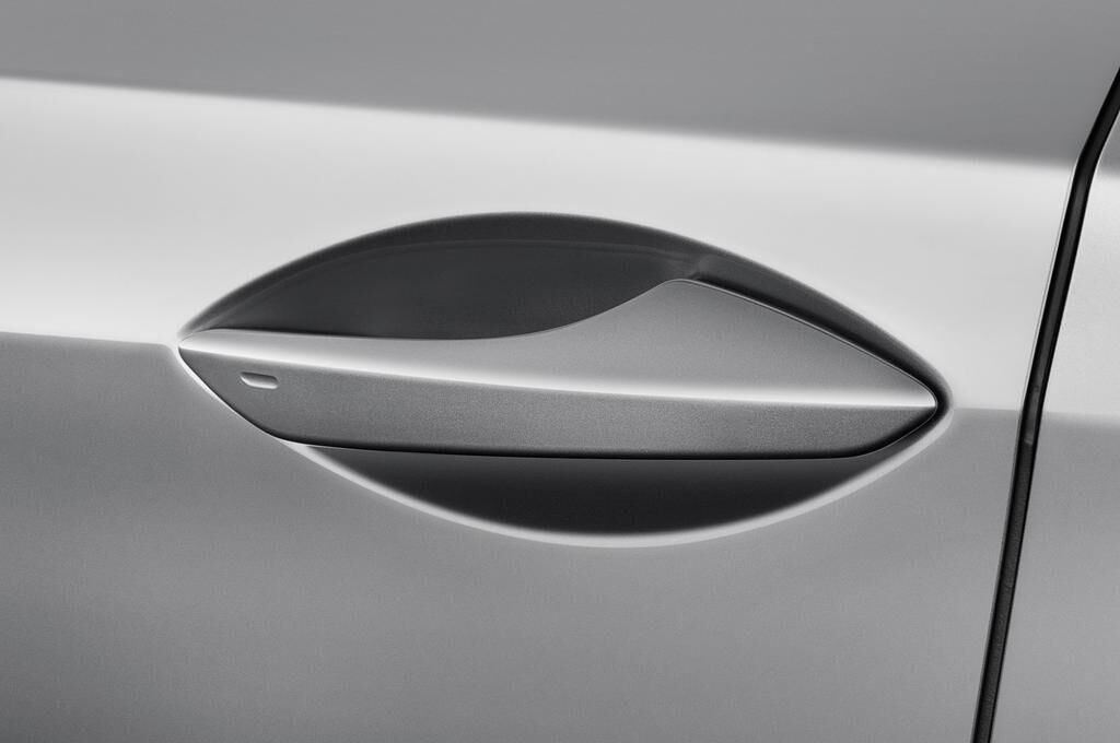 Lexus RX (Baujahr 2019) Luxury Line 5 Türen Türgriff