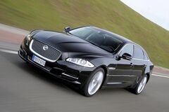Jaguar im Wandel der Zeit - Auf dem Sprung
