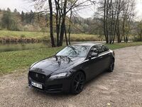 Jaguar XF 30d - Kilometerhungrig