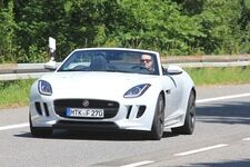 Jaguar F-Type S AWD Cabrio - Die brüllende Wildkatze