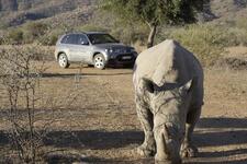 Reportage: Mit dem X5 in Namibia - Wildnis für Jedermann