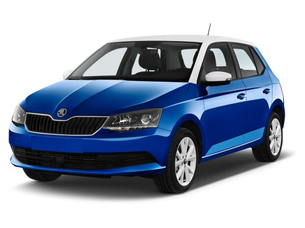 Skoda Fabia Tour 1.0 TSI RFK/TMP/PDC/DAB+/SHZ/LED